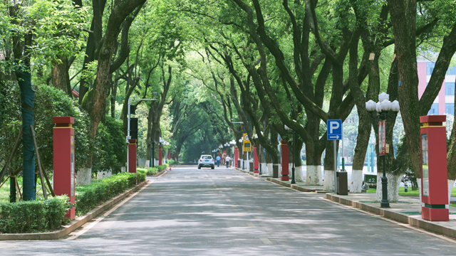 戶外LED廣告屏的優(yōu)勢(shì)在哪里? 學(xué)校園區(qū)戶外LED廣告屏案例展示